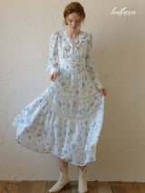 Serene Blue Meadow Dress