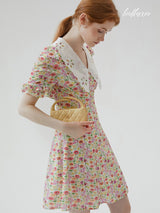 Vintage Garden Collar Dress