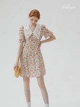 Vintage Garden Collar Dress