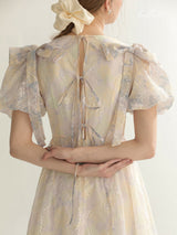 Champagne Glow Harmony Dress