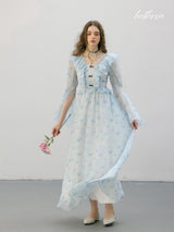 Sky Flutter Chiffon Dress