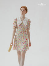 Vintage Garden Collar Dress
