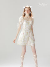 Soft Petal Mist Mini Dress