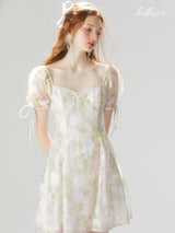 Soft Petal Mist Mini Dress